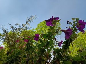 IMG_20240416_145656755_HDR