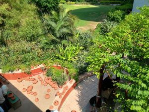 IMG_20240416_145722692_HDR