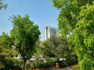 IMG_20240416_145753909_HDR