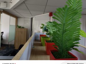 IMG_20240509_151337_309