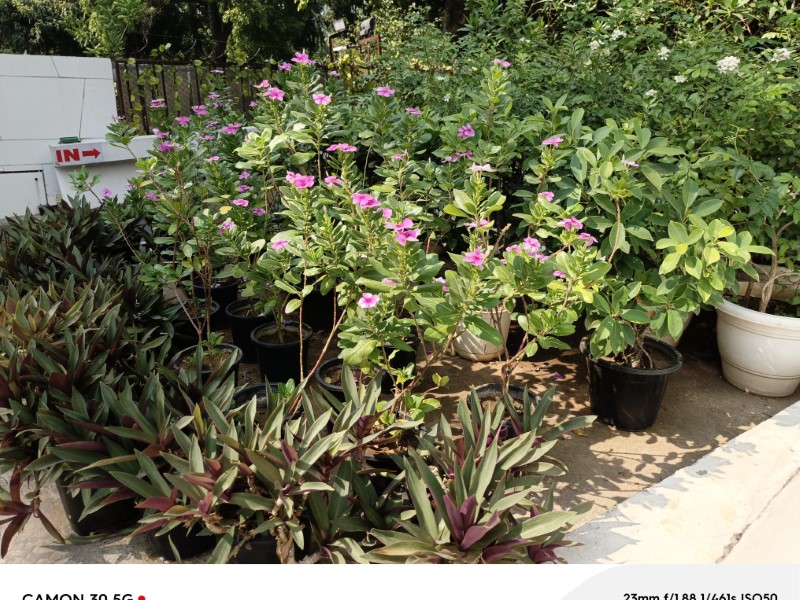 IMG_20240509_151816_741