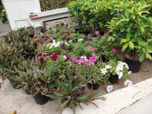 Moto Edge 50 Fusion_16