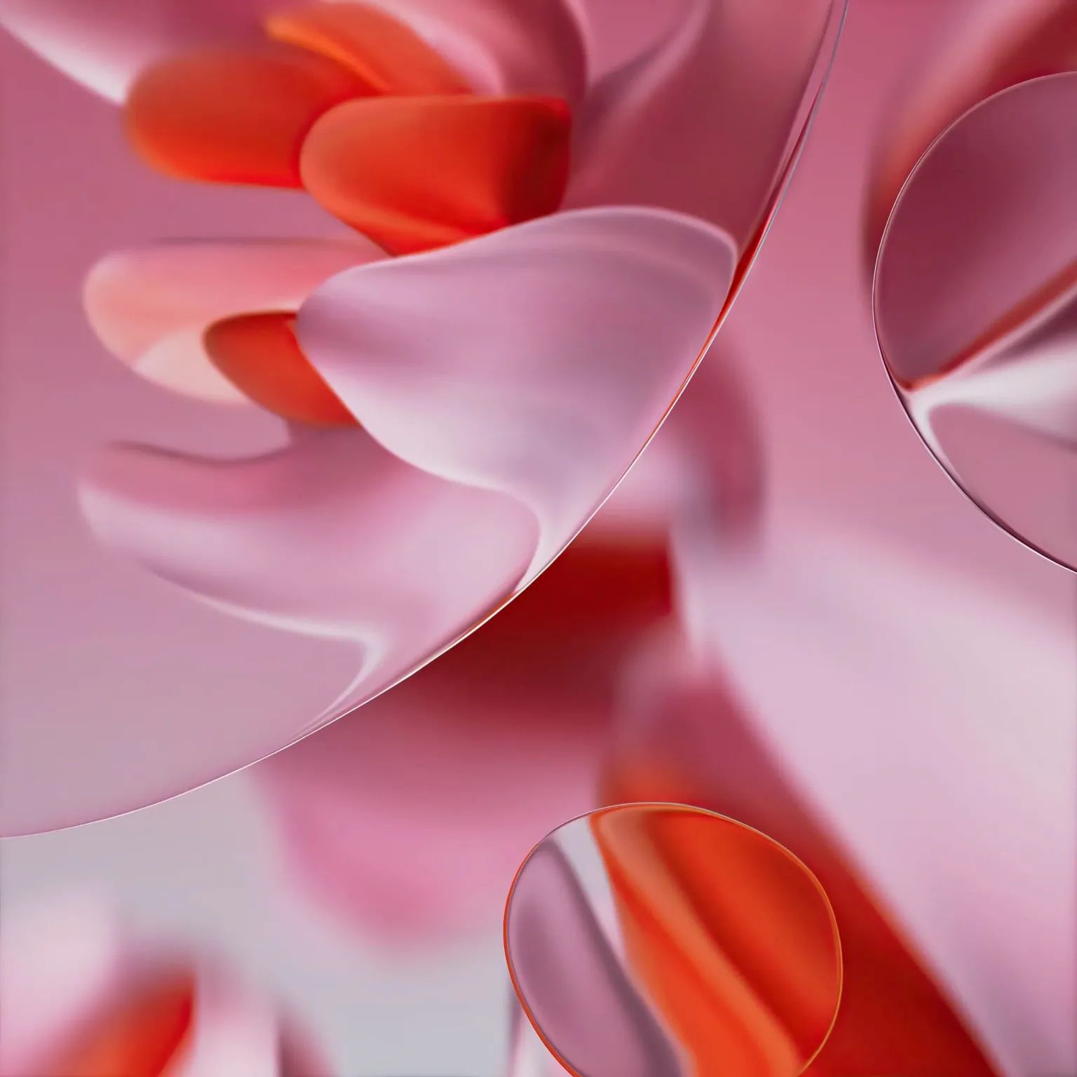 WhatsApp Image 2024-05-20 at 11.47.15 AM (1)