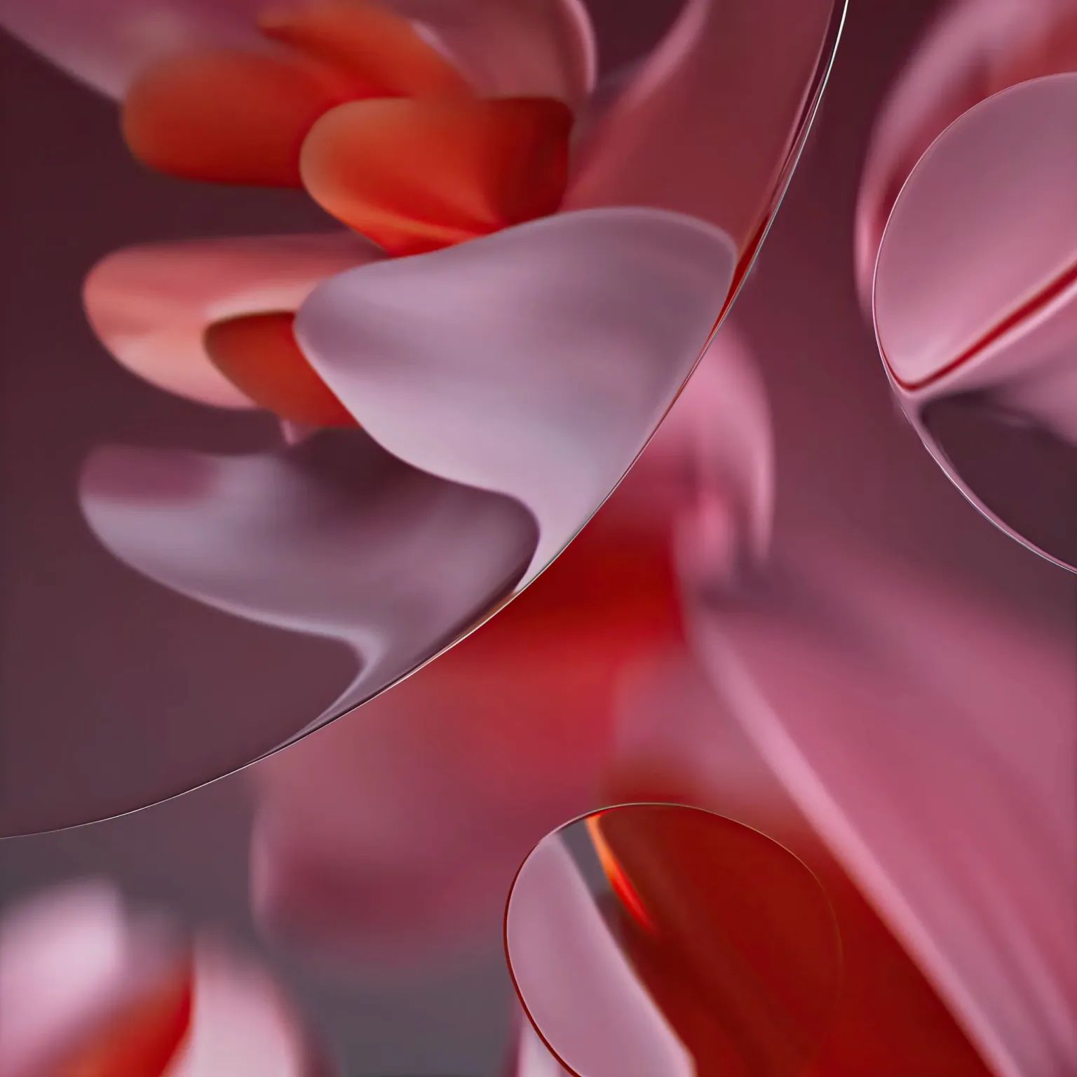 WhatsApp Image 2024-05-20 at 11.47.15 AM