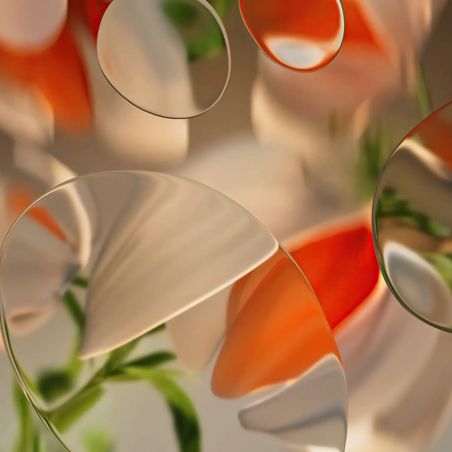 WhatsApp Image 2024-05-20 at 11.47.16 AM