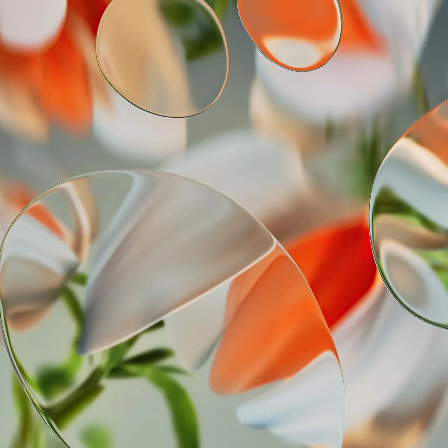 WhatsApp Image 2024-05-20 at 11.47.17 AM