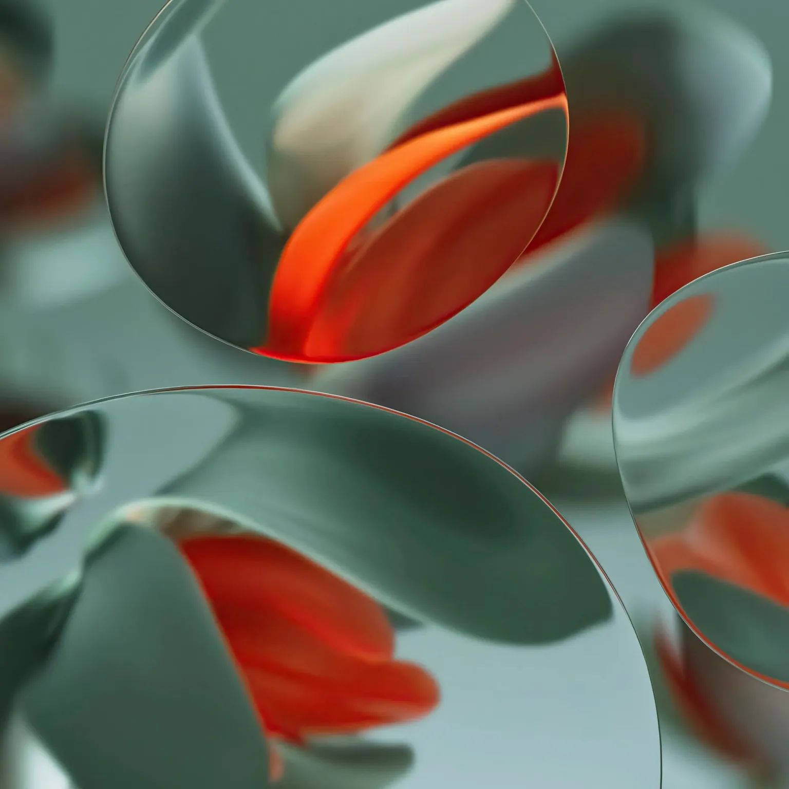 WhatsApp Image 2024-05-20 at 11.47.58 AM (1)