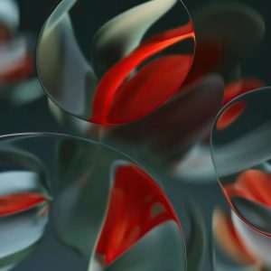 WhatsApp Image 2024-05-20 at 11.47.58 AM