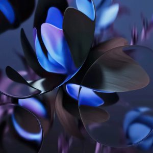 WhatsApp Image 2024-05-20 at 11.47.59 AM (1)