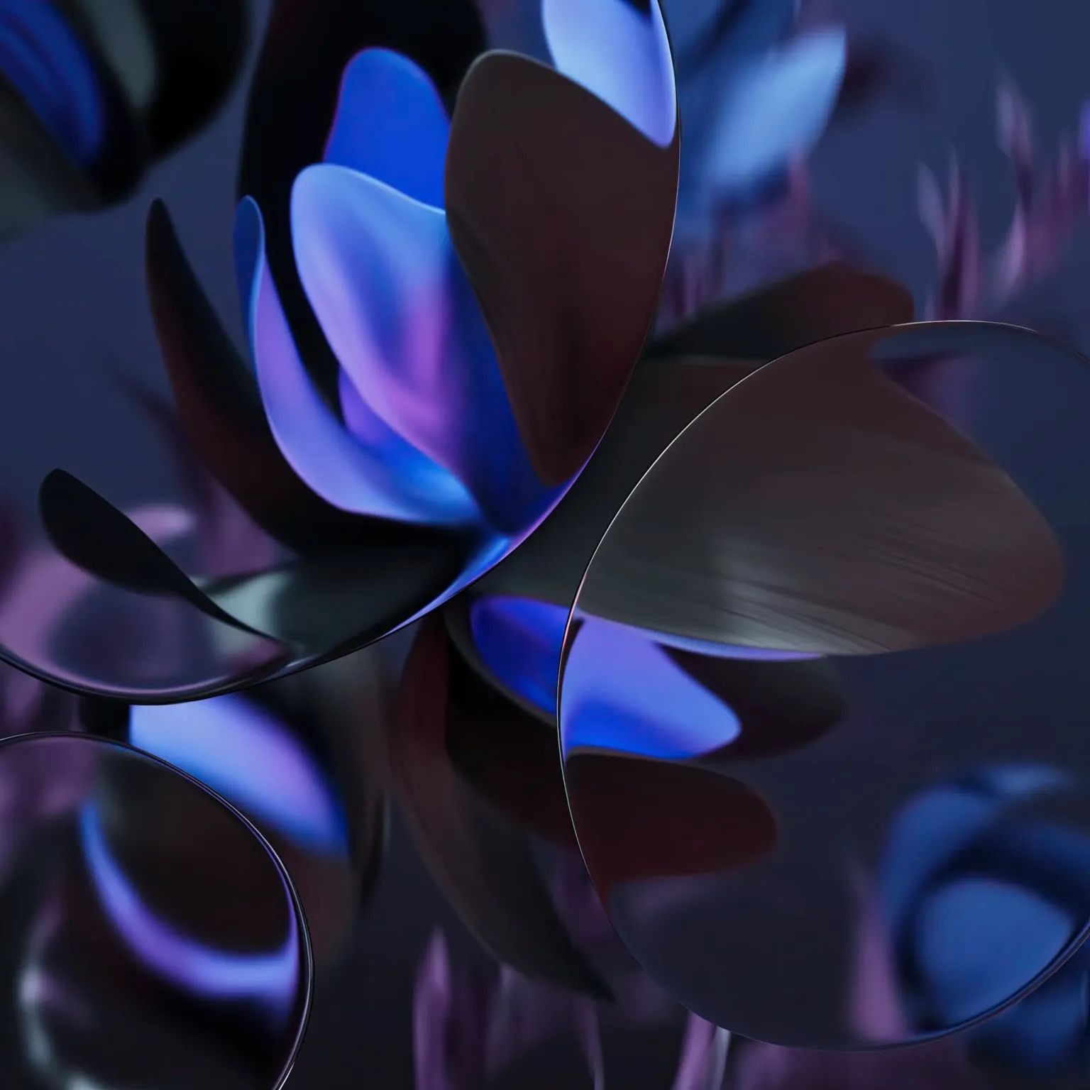 WhatsApp Image 2024-05-20 at 11.47.59 AM