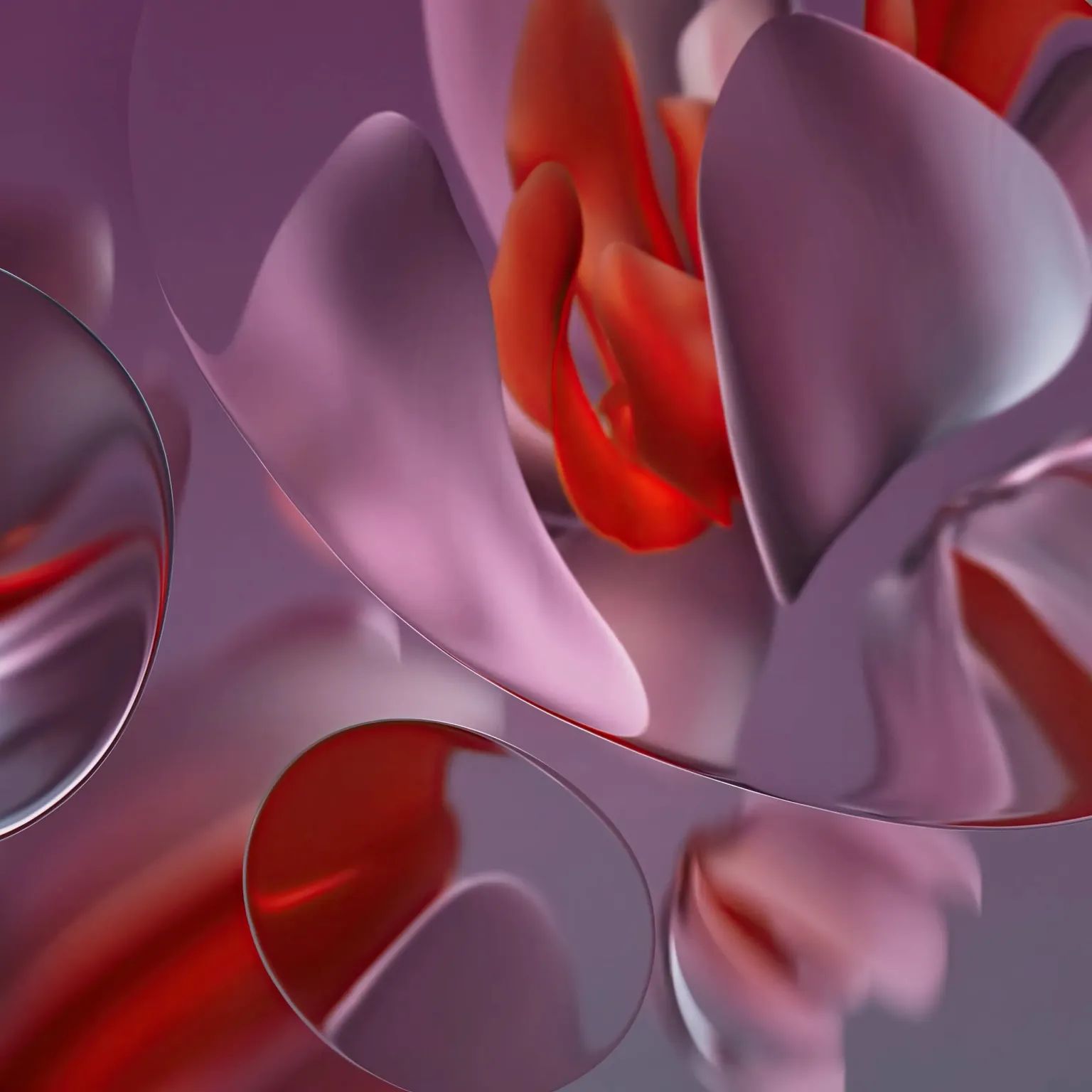 WhatsApp Image 2024-05-20 at 11.48.00 AM (2)