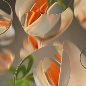 WhatsApp Image 2024-05-20 at 11.48.00 AM