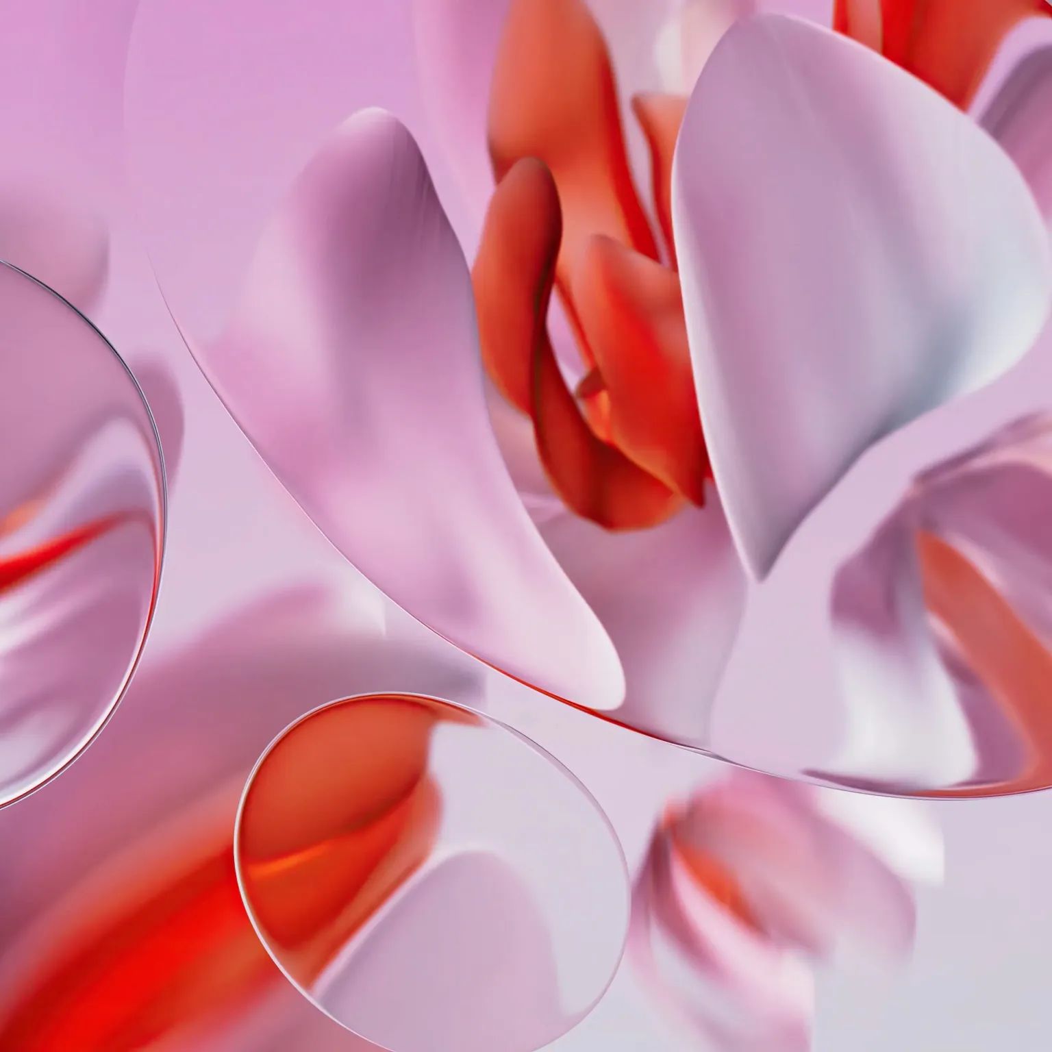 WhatsApp Image 2024-05-20 at 11.48.01 AM