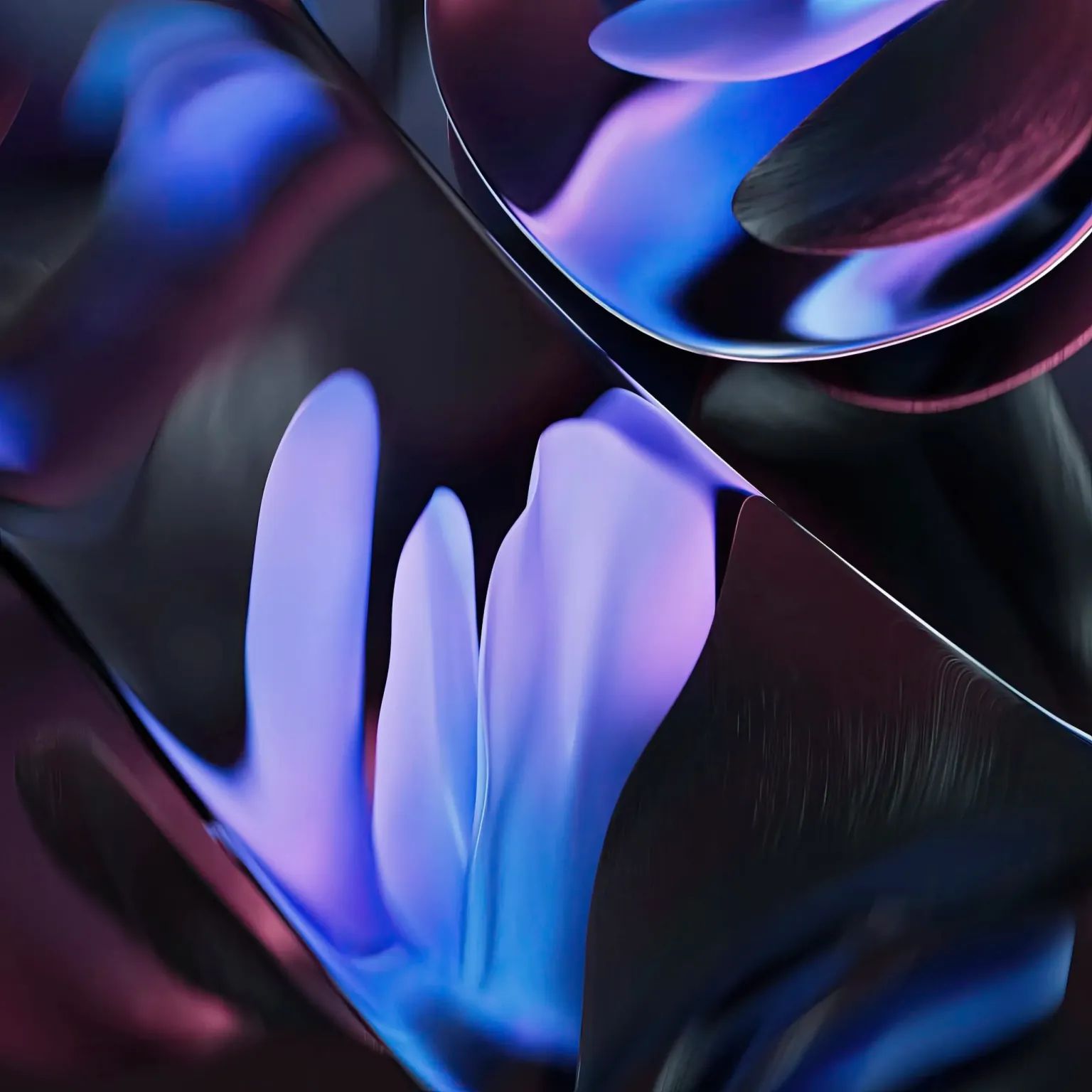 WhatsApp Image 2024-05-20 at 11.48.53 AM (1)