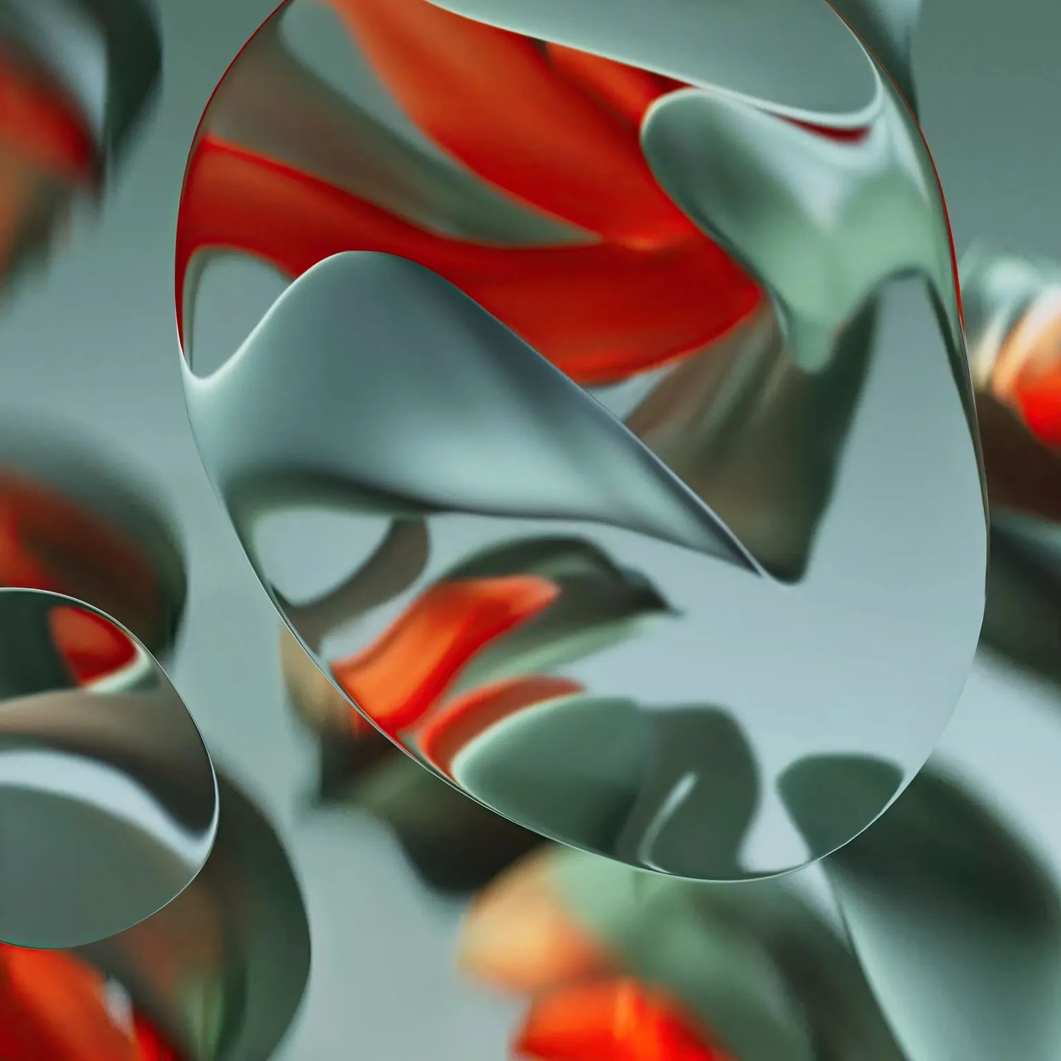 WhatsApp Image 2024-05-20 at 11.48.53 AM