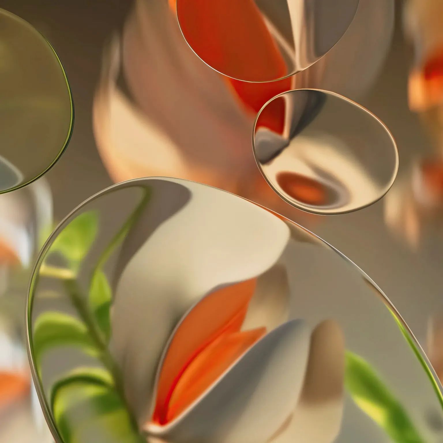 WhatsApp Image 2024-05-20 at 11.48.54 AM (1)