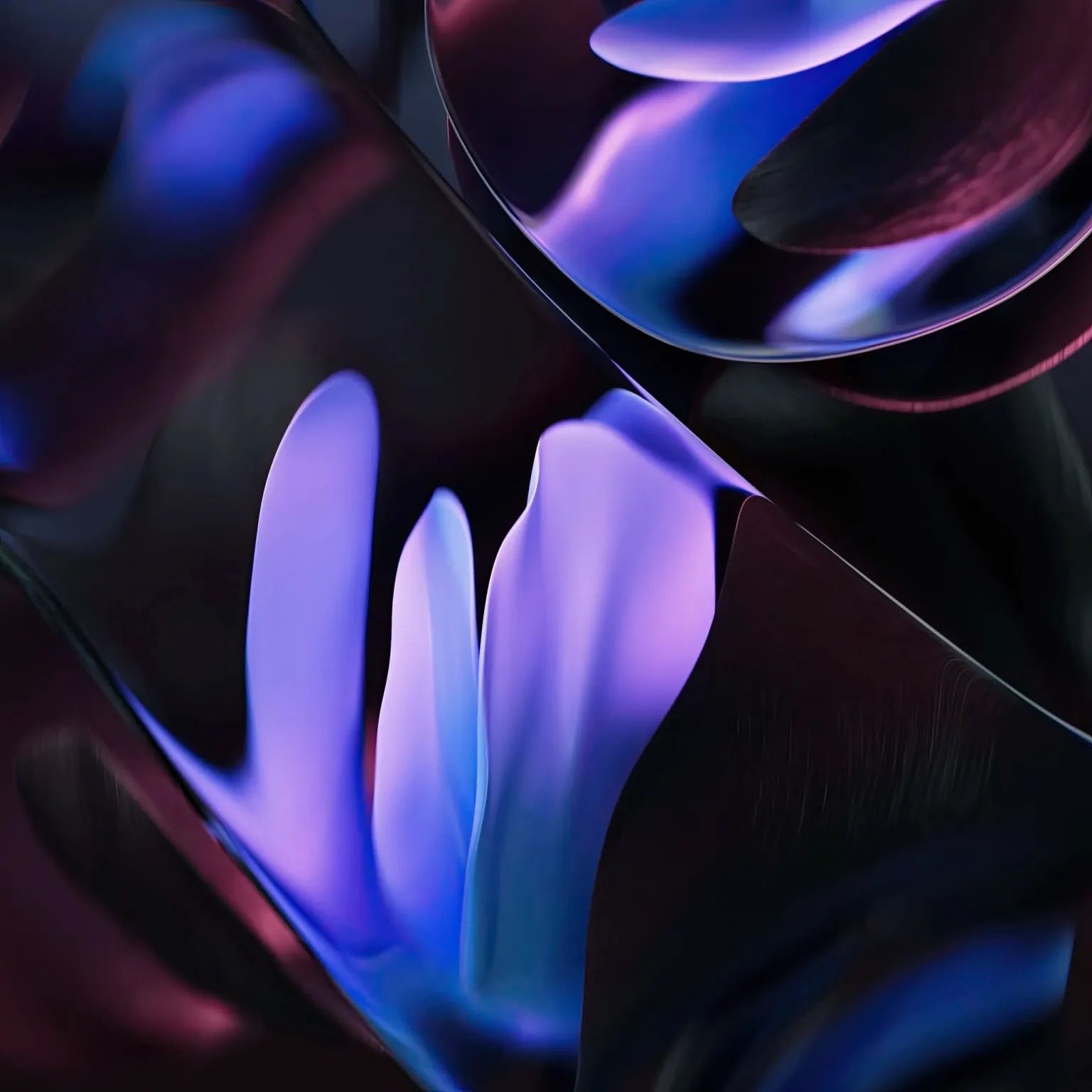 WhatsApp Image 2024-05-20 at 11.48.54 AM