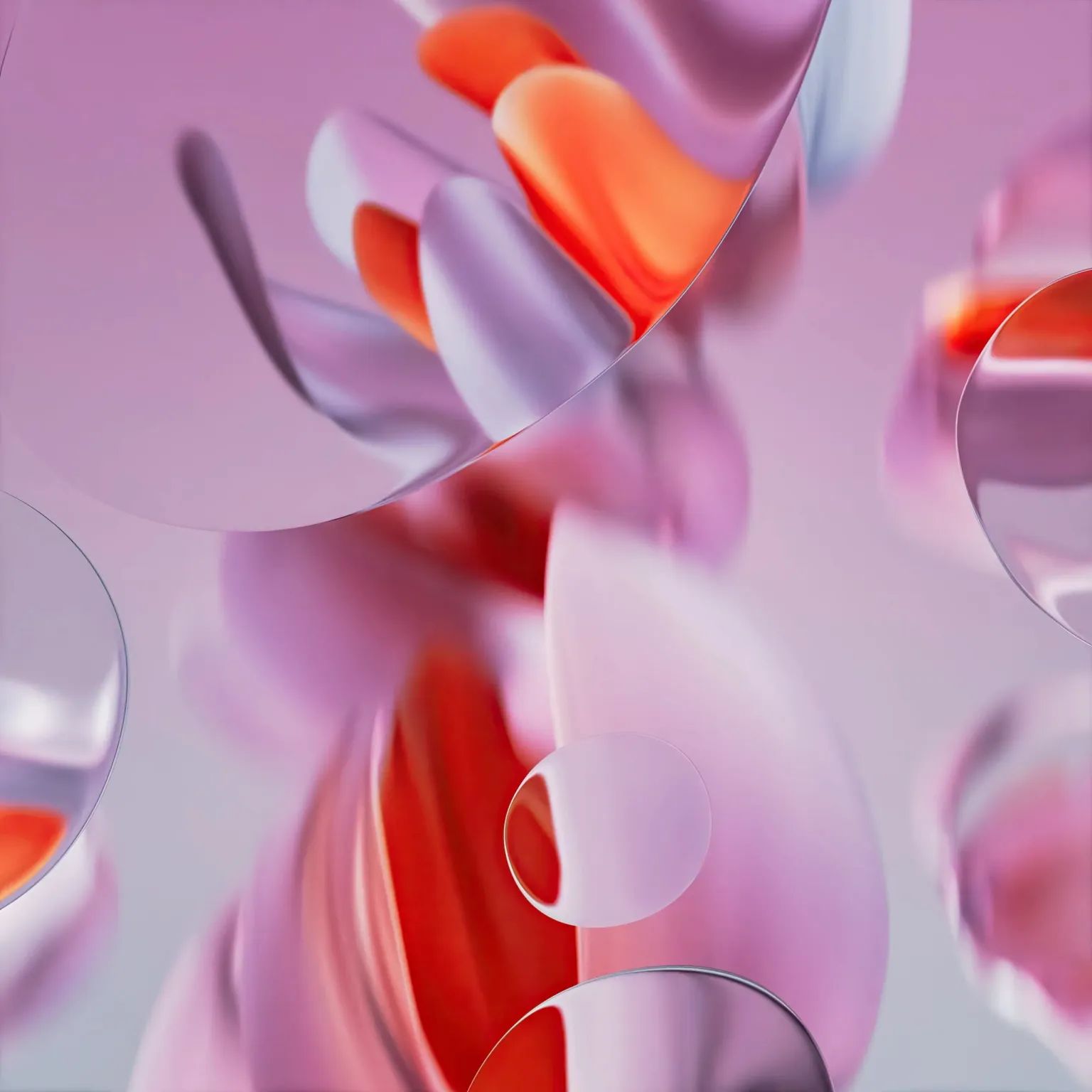 WhatsApp Image 2024-05-20 at 11.48.56 AM (1)