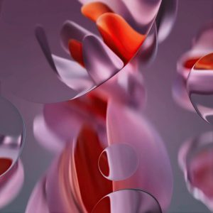 WhatsApp Image 2024-05-20 at 11.48.56 AM