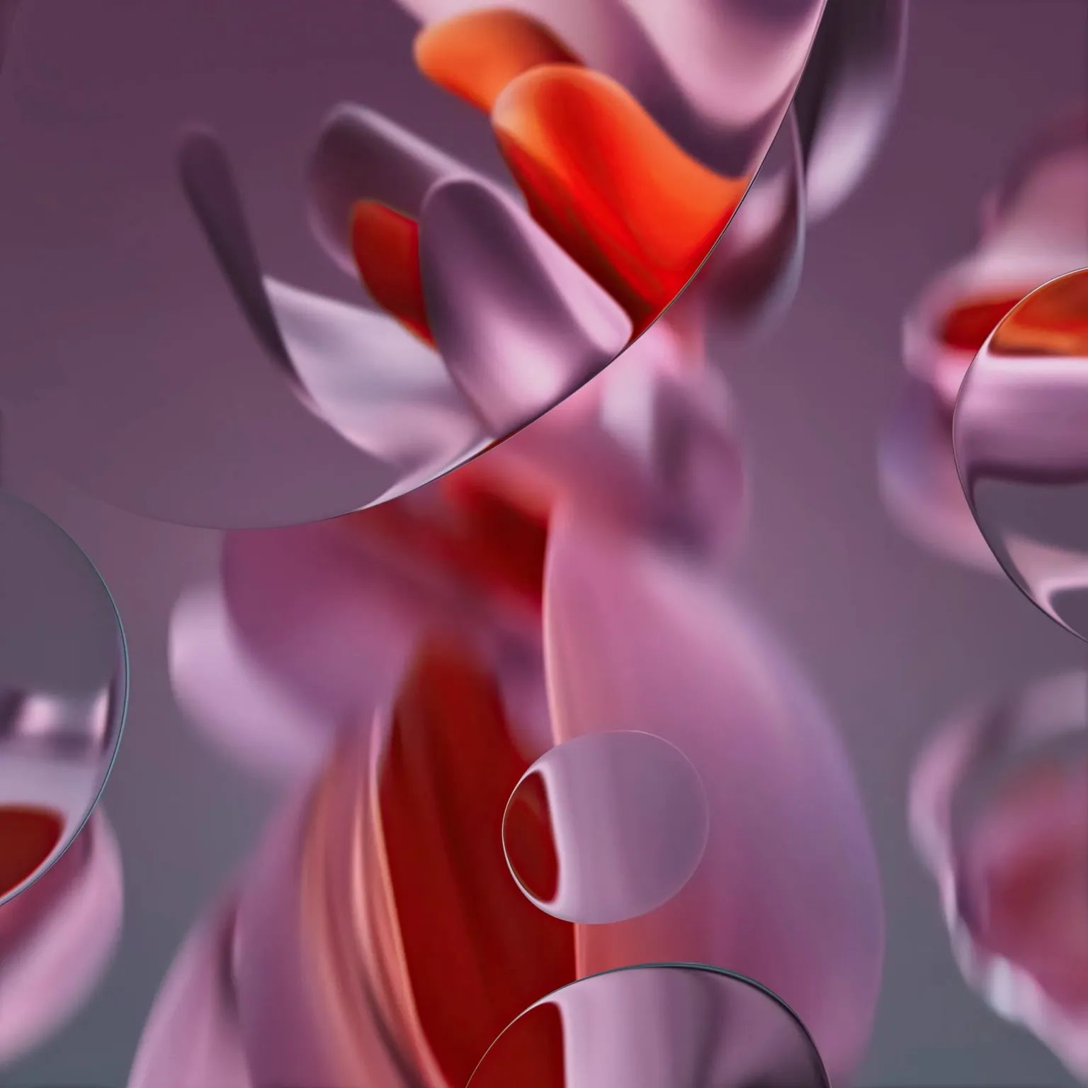 WhatsApp Image 2024-05-20 at 11.48.56 AM