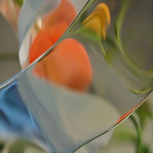 WhatsApp Image 2024-05-20 at 11.49.31 AM (2)