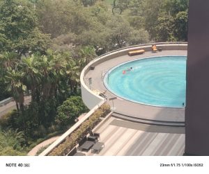 IMG_20240608_123438_526