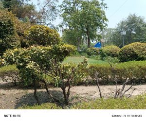 IMG_20240608_124009_853