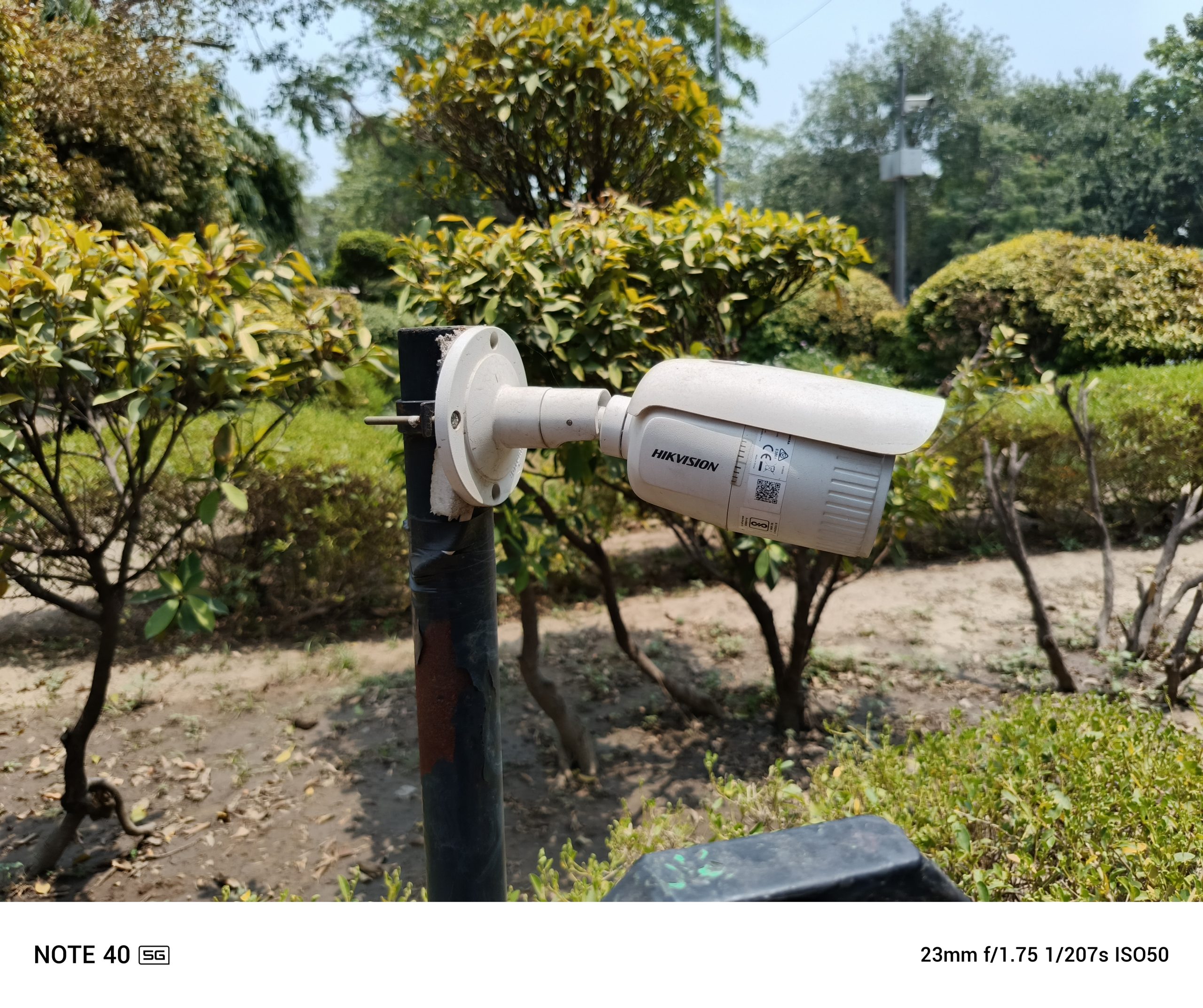 IMG_20240608_124017_969