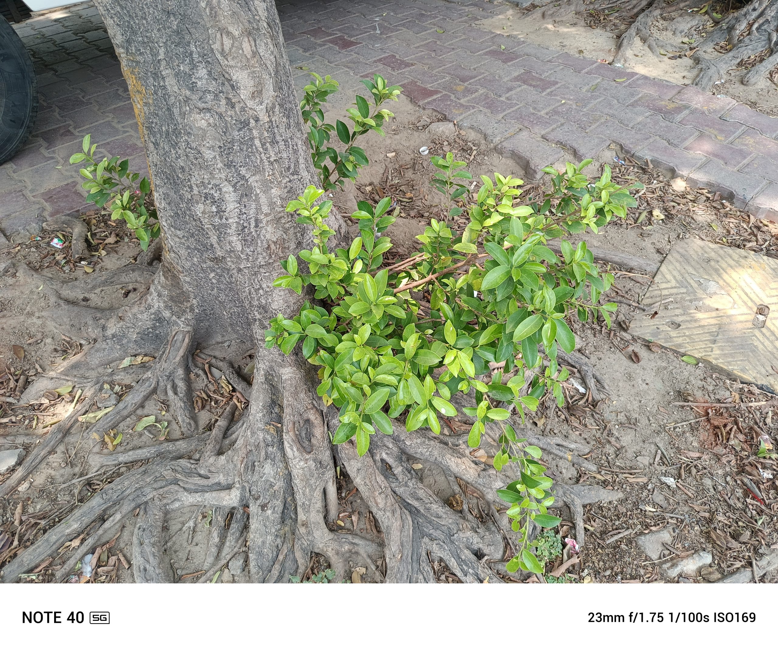 IMG_20240608_124034_394