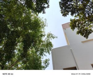 IMG_20240608_124240_381