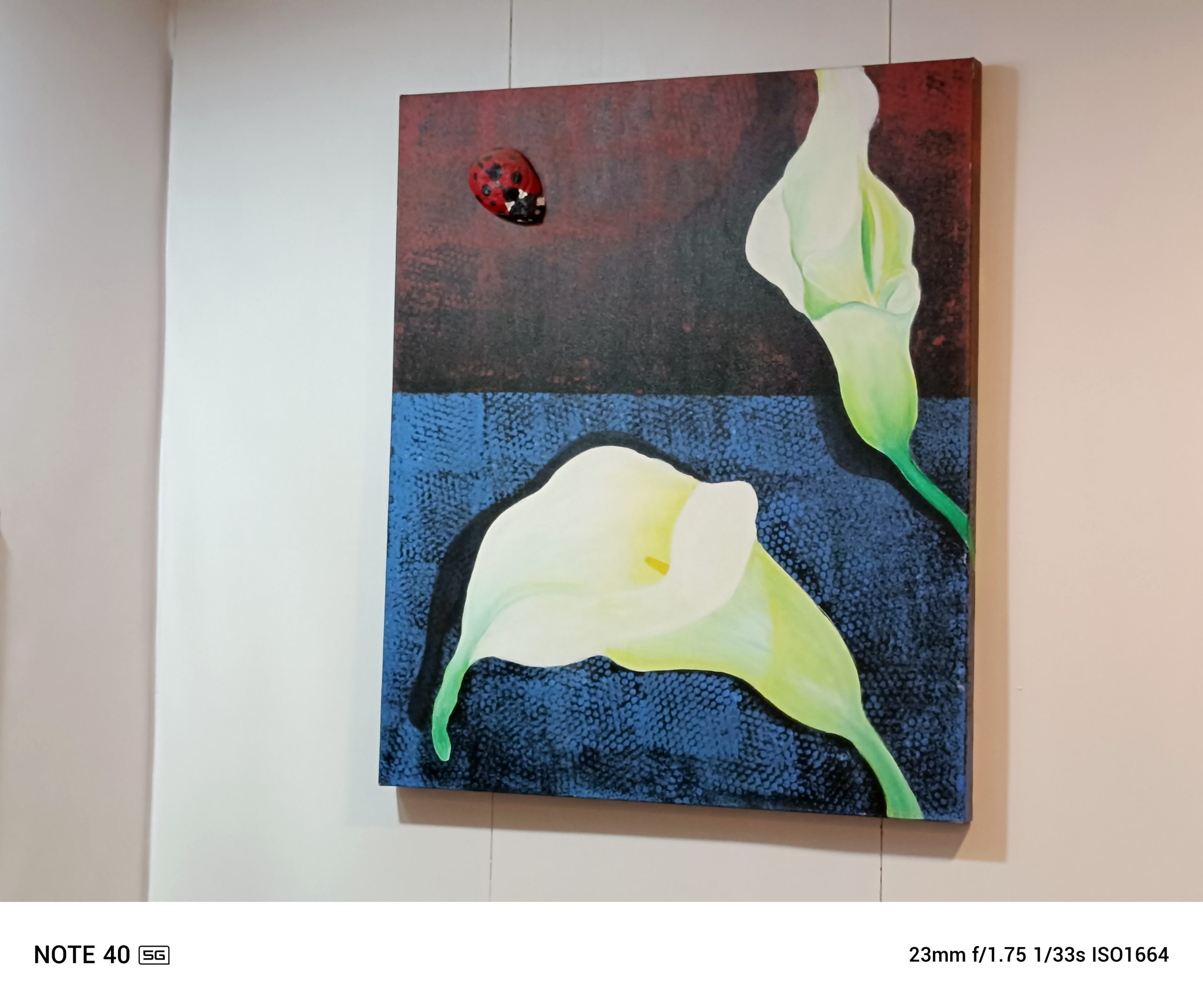 IMG_20240608_125042_823