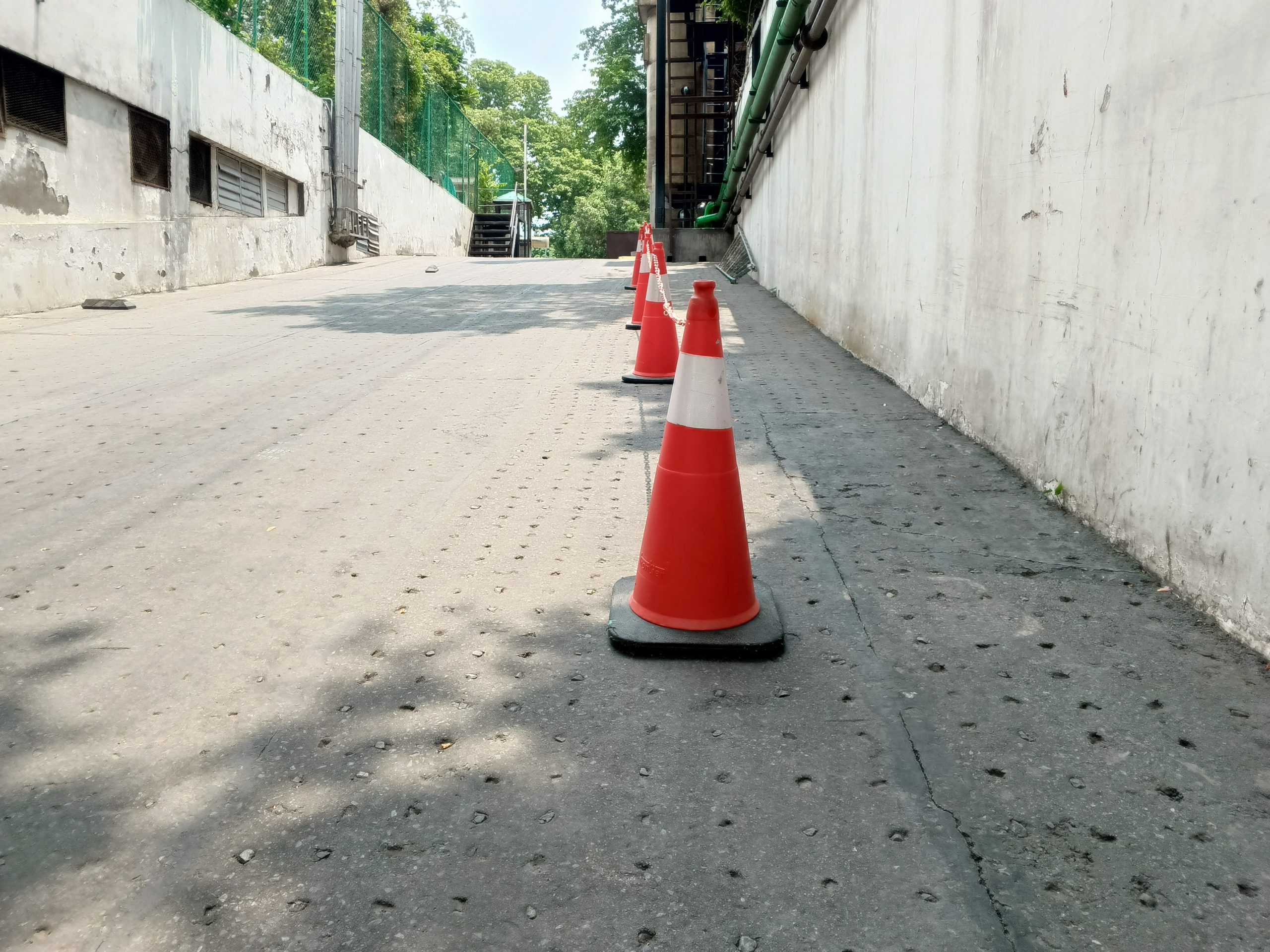 IMG_20240717_120001_256