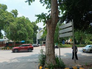 IMG_20240717_120046_231