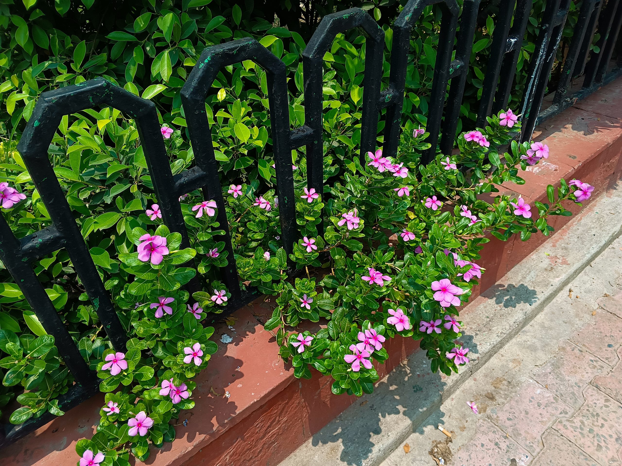 IMG_20240717_120117_699