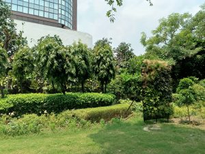 IMG_20240717_120145_987