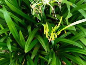 IMG_20240717_120203_746