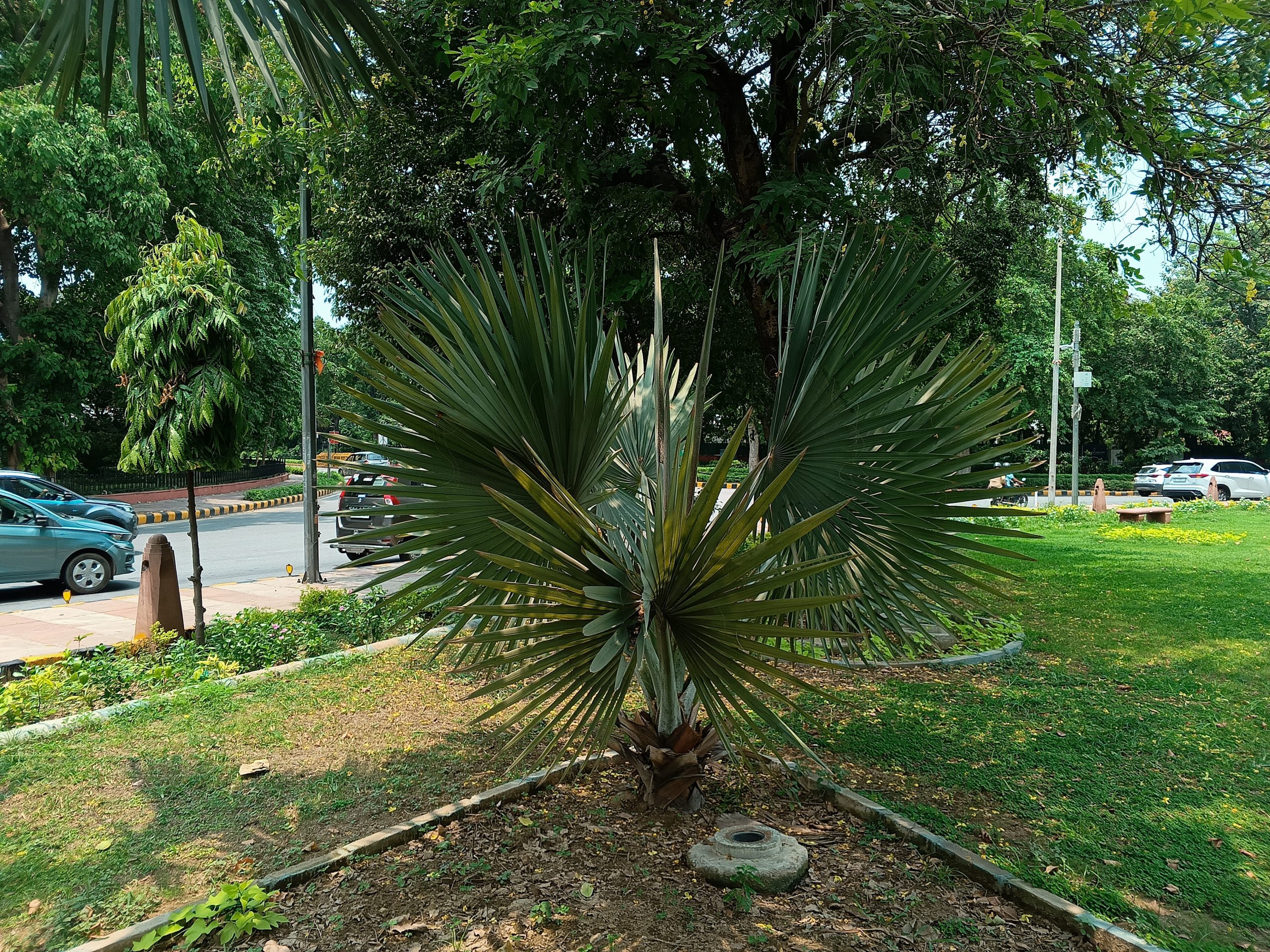 IMG_20240717_120327_051