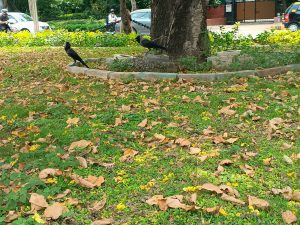 IMG_20240717_120416_996