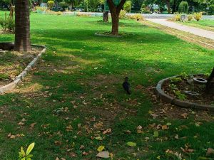 IMG_20240717_120602_252