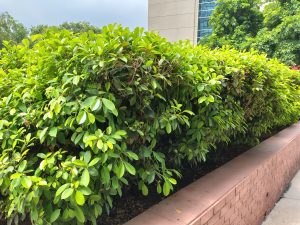 IMG_20240718_104839880_HDR