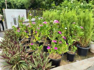 IMG_20240718_105009695_HDR