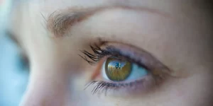 Shallow-depth-of-field-macro-example