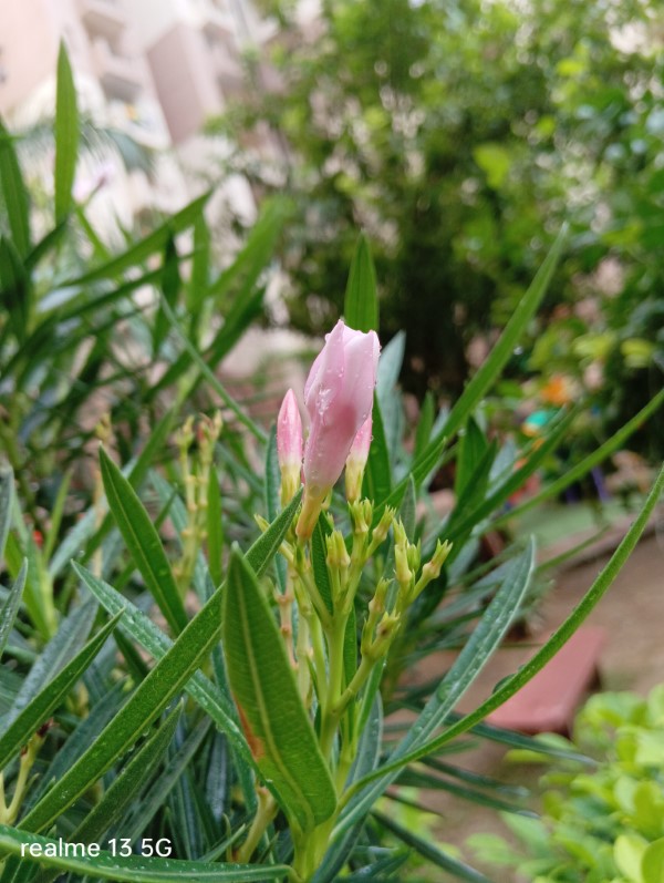 IMG20240103024623_BURST000_COVER