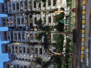 IMG20240828190207_BURST000_COVER