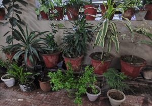 IMG_202312051254585657777