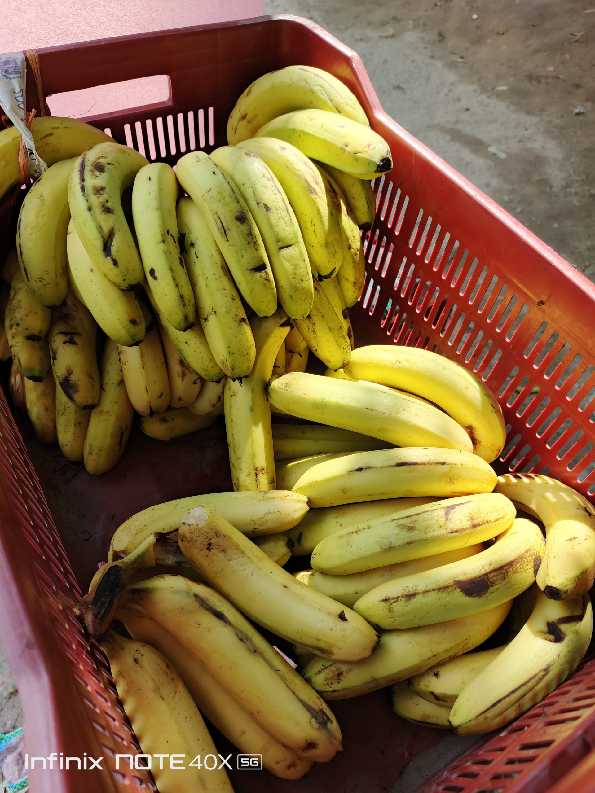 IMG_20240806_153534_960