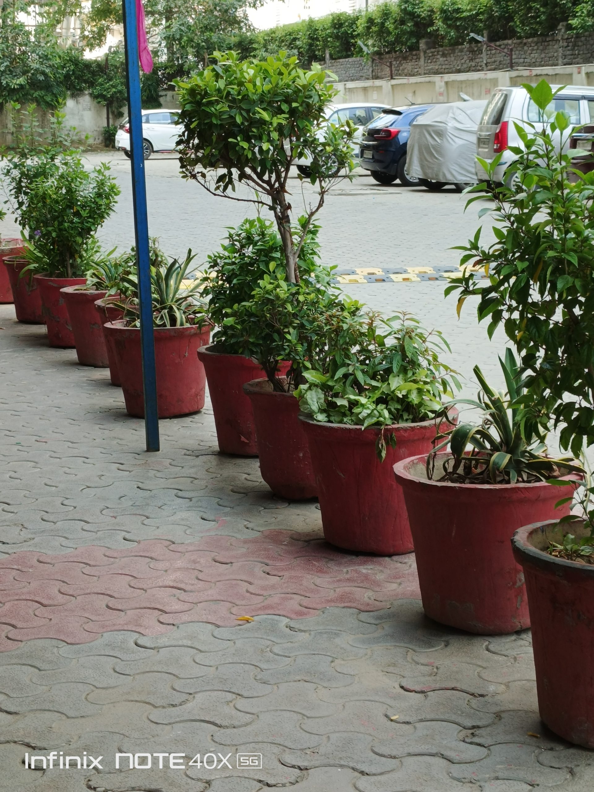 IMG_20240806_154940_614