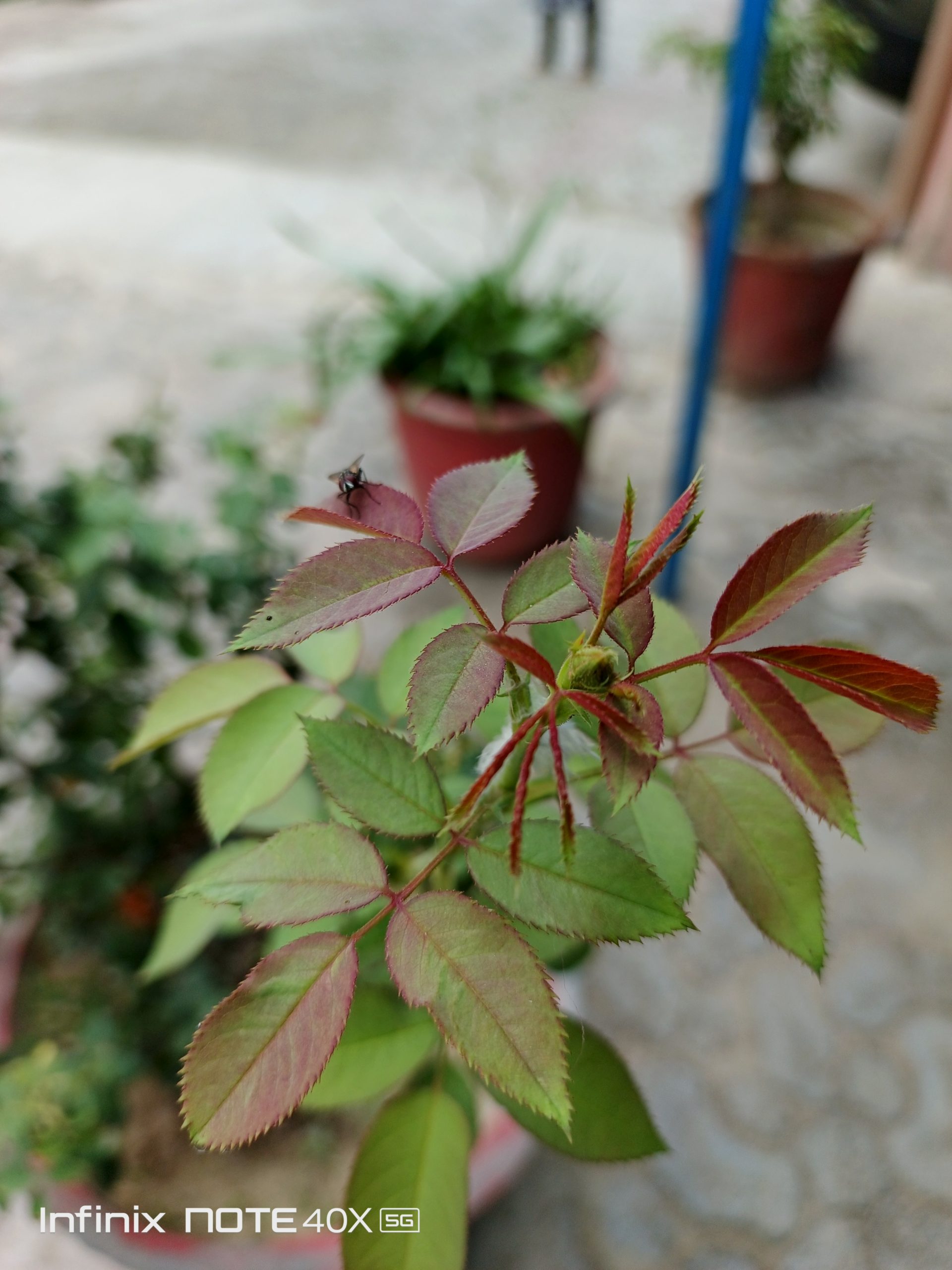 IMG_20240806_155008_059