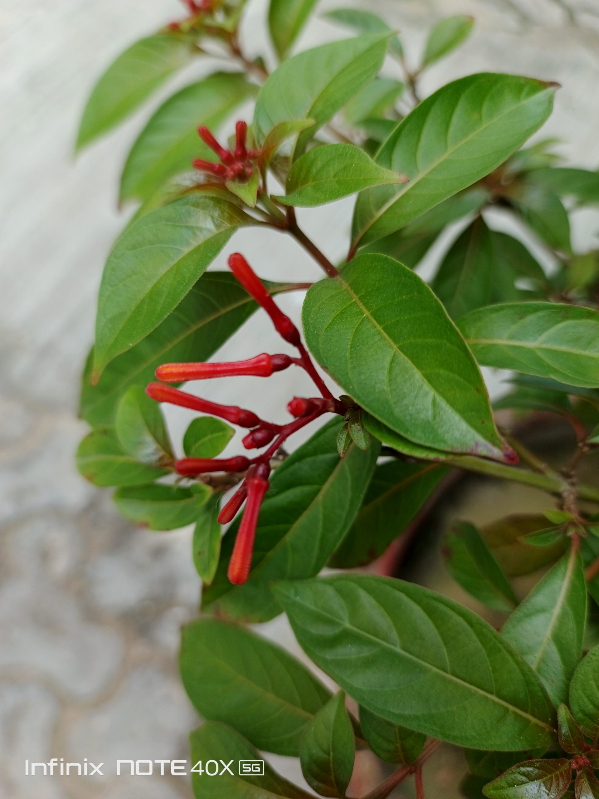 IMG_20240806_155024_942