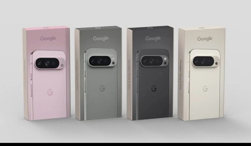 WhatsApp Image 2024-08-21 at 12.24.49 PM